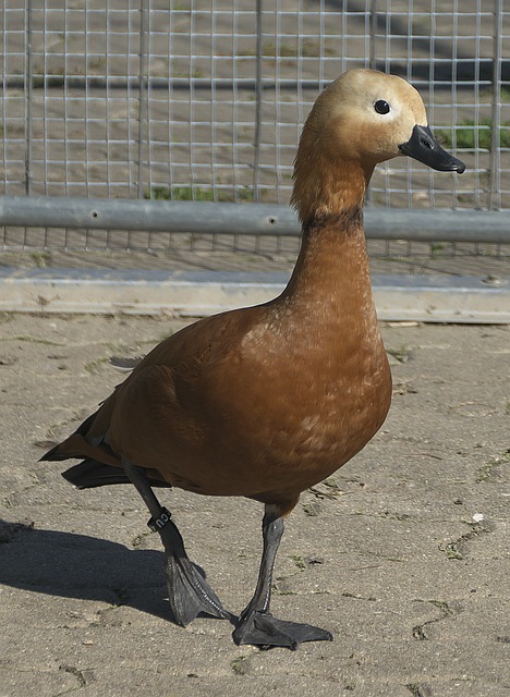 守闻名