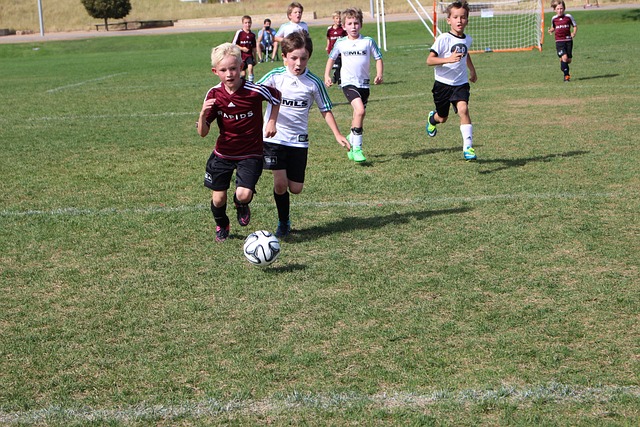 菲利克斯的 菲利克斯的