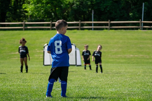形成适合中 形成适合中