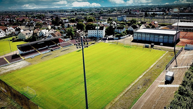 近年来迎来 近年来迎来