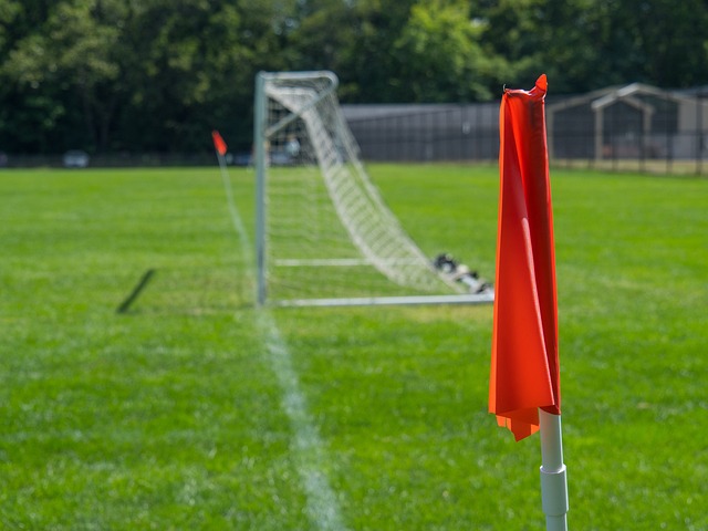 都是学习的 都是学习的