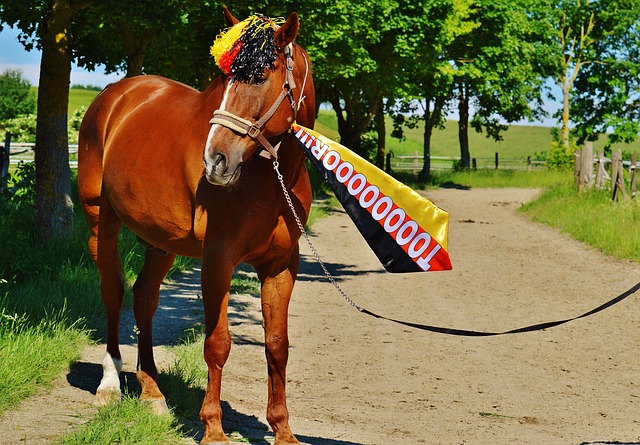 凭借出色的 凭借出色的