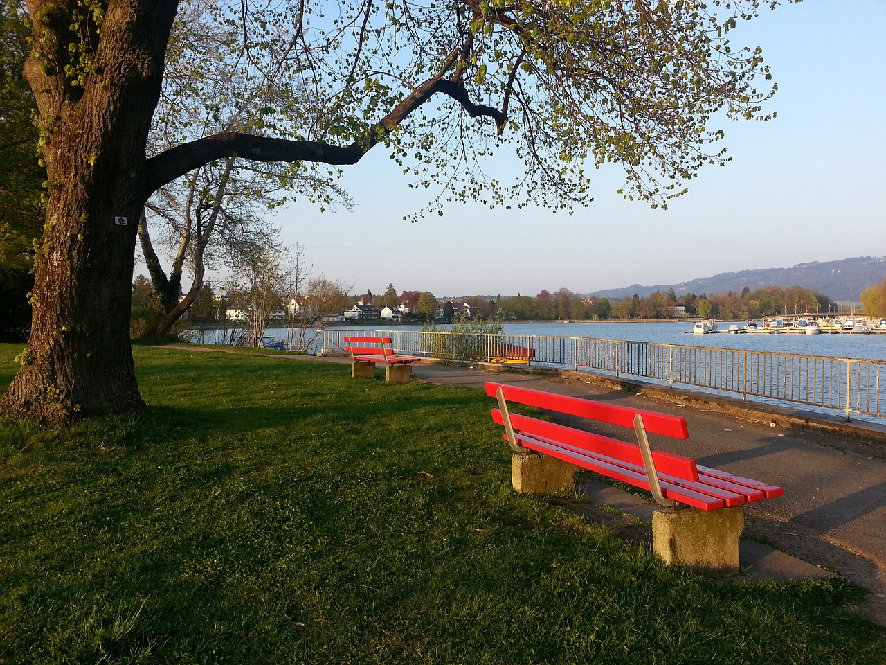 論紛紛的經 論紛紛的經