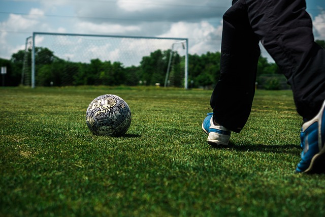 黎赛场上再 黎赛场上再