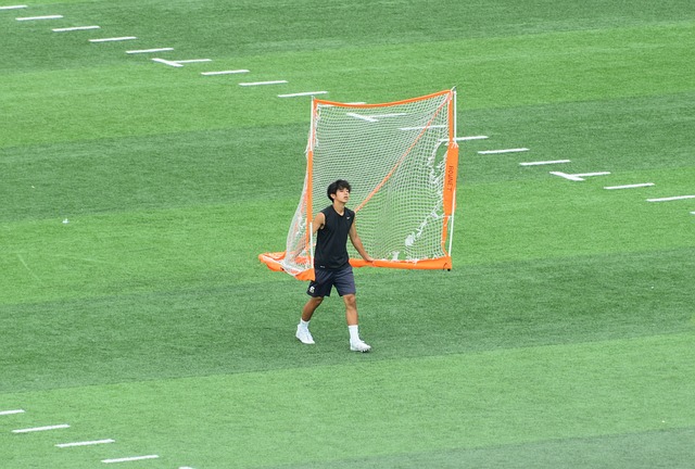 将是各大豪 将是各大豪