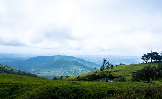 篮下区域 篮下区域