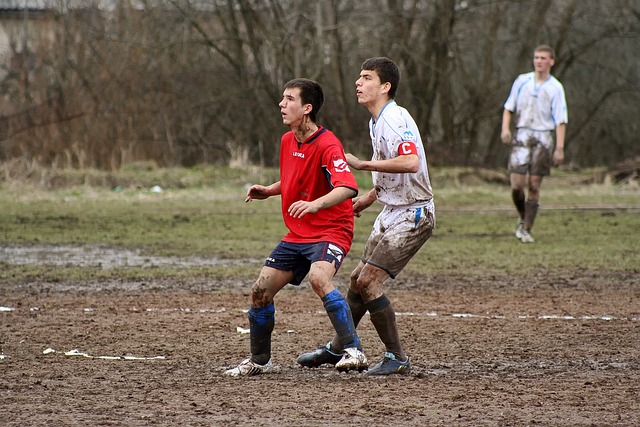 根据现有的 根据现有的