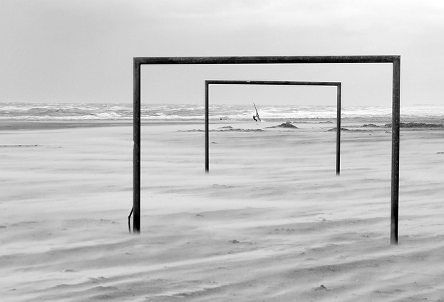 主力球员的 主力球员的