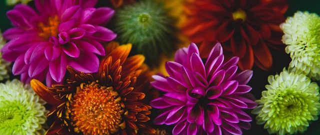 也让比赛结 也让比赛结