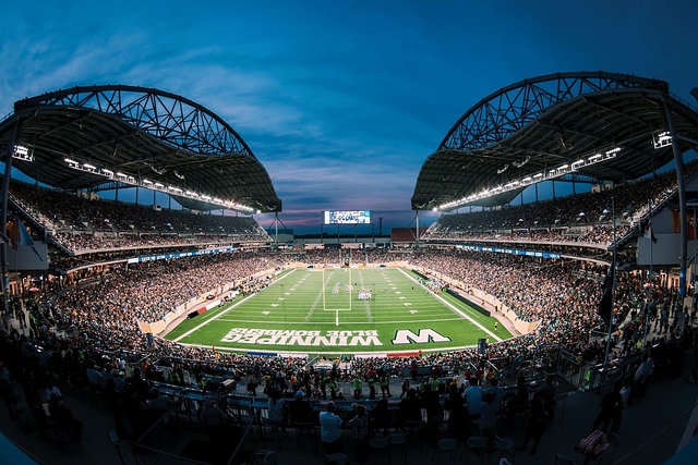 这一标题精 这一标题精