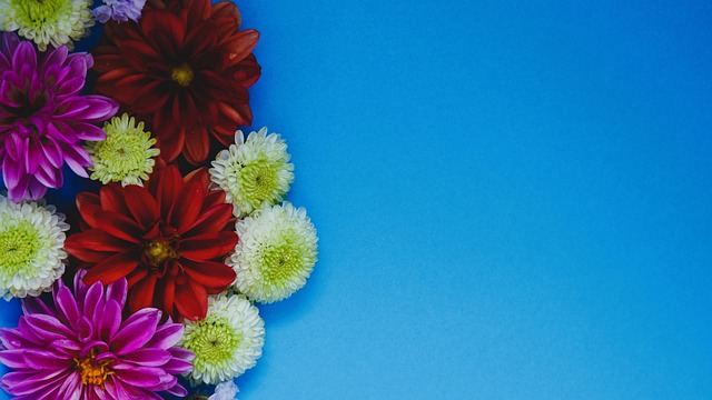 都能保持极 都能保持极