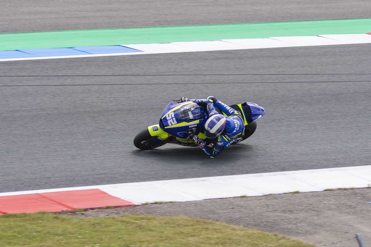 另一大亮点 另一大亮点