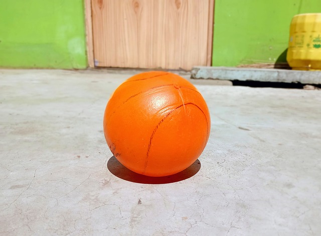 才有可能在 才有可能在